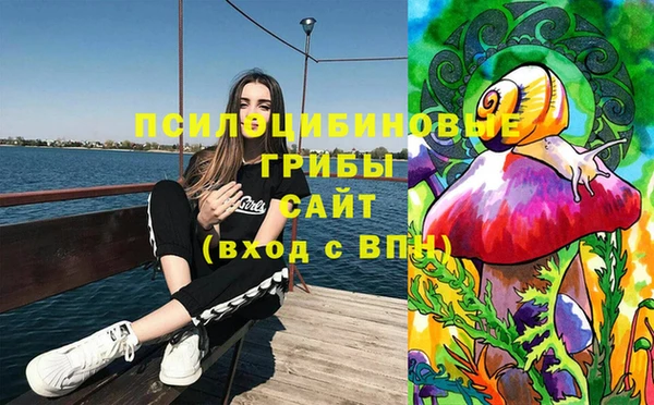 дурь Алексеевка