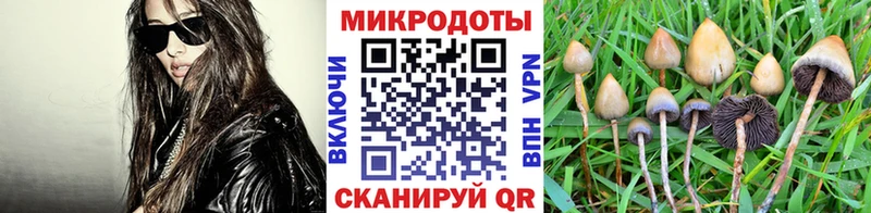 OMG сайт  Магадан  Псилоцибиновые грибы GOLDEN TEACHER 