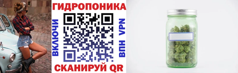 Бошки Шишки конопля  наркотики  kraken сайт  Магадан 